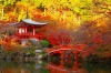 tokyo-fukushima-nikko-ibaraki-fukushima - ảnh nhỏ 2