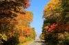 tokyo-nikko-fuji-nagoya-kyoto-osaka - ảnh nhỏ 3