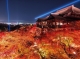 Cùng ngắm mùa lá đỏ ở Nhật Bản